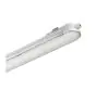 Philips LED Feuchtraumleuchte CoreLine WT120C G2 45W 6000lm - 840 Kaltweiß | 150cm - Dali Dimmbar